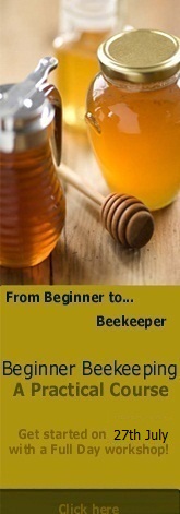 Bee course banner